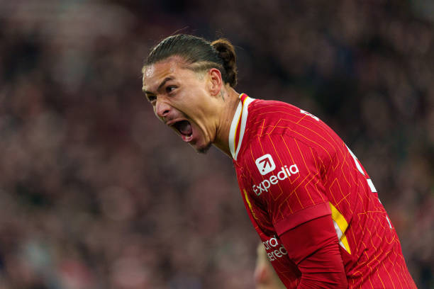 他两位外援 他两位外援