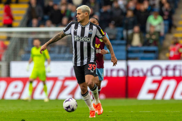 兰的一大焦 兰的一大焦