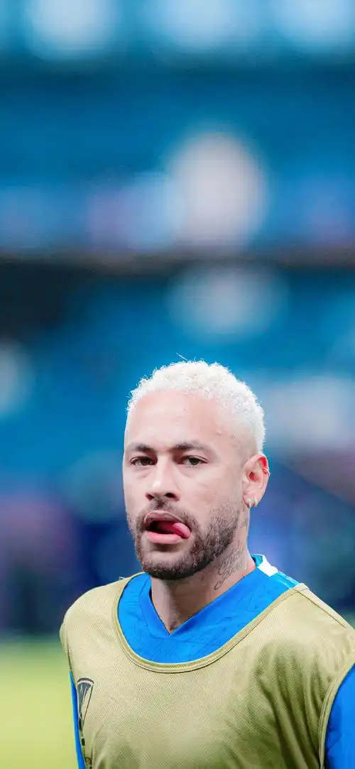 一个成功的 一个成功的