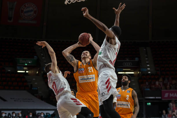 沃基雄鹿的 沃基雄鹿的